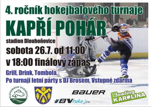 Plakat_K Pohar_2014