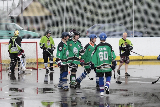 Hokejbal
